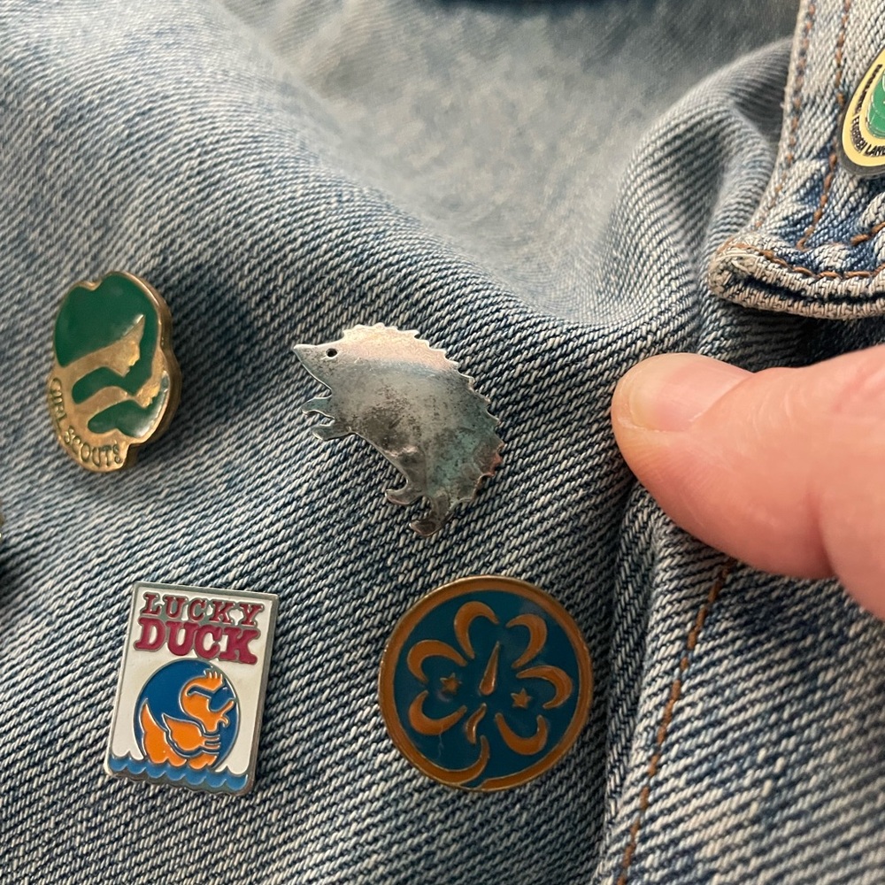 Sweet Silver Hedgehog Pin